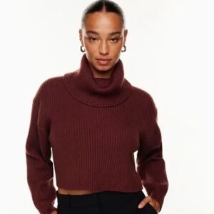 ARITZIA GUELL RIBBED TURTLENECK SWEATER